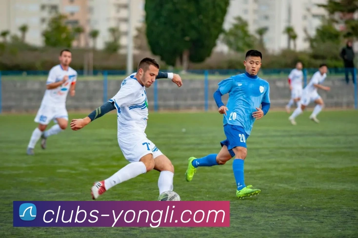 永利皇宫官网平台生态图